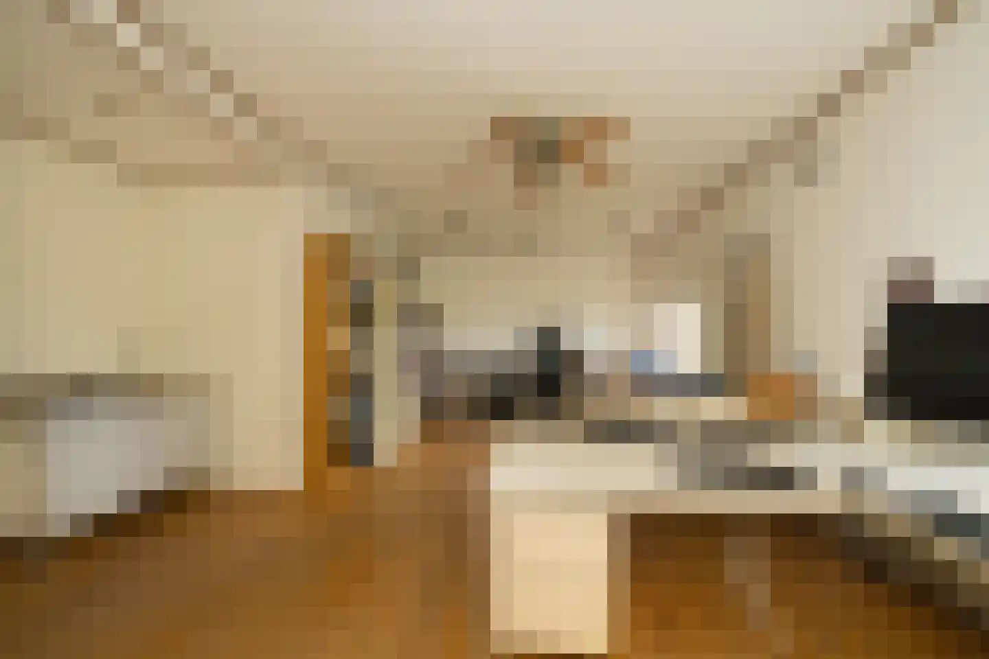 Nassaulaan 9 Steenbergen thumbnail 44