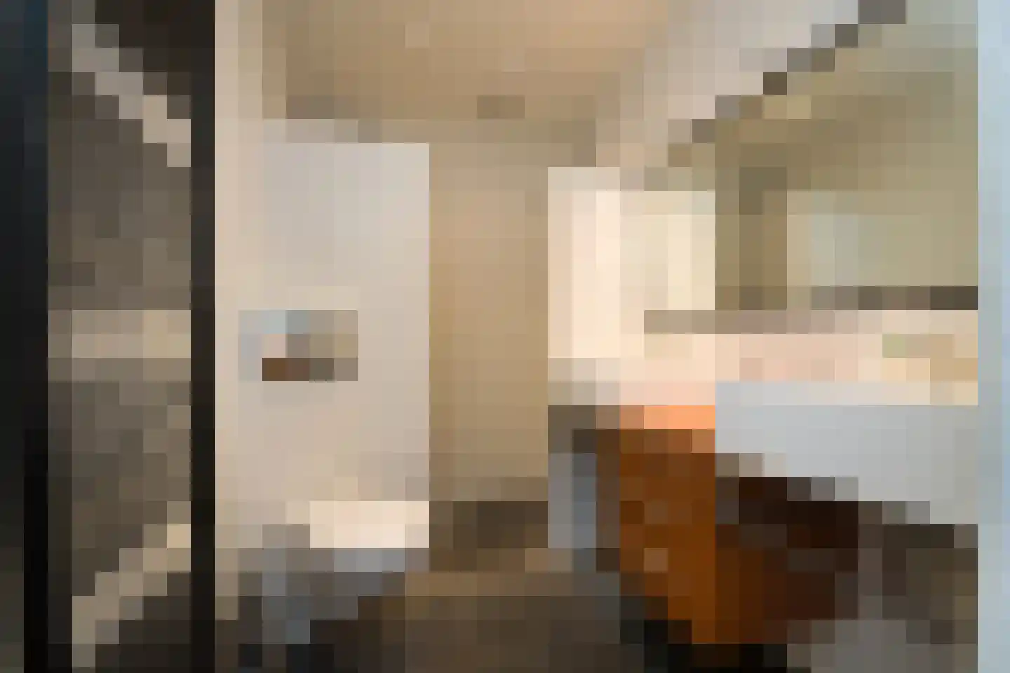 Nassaulaan 9 Steenbergen thumbnail 46