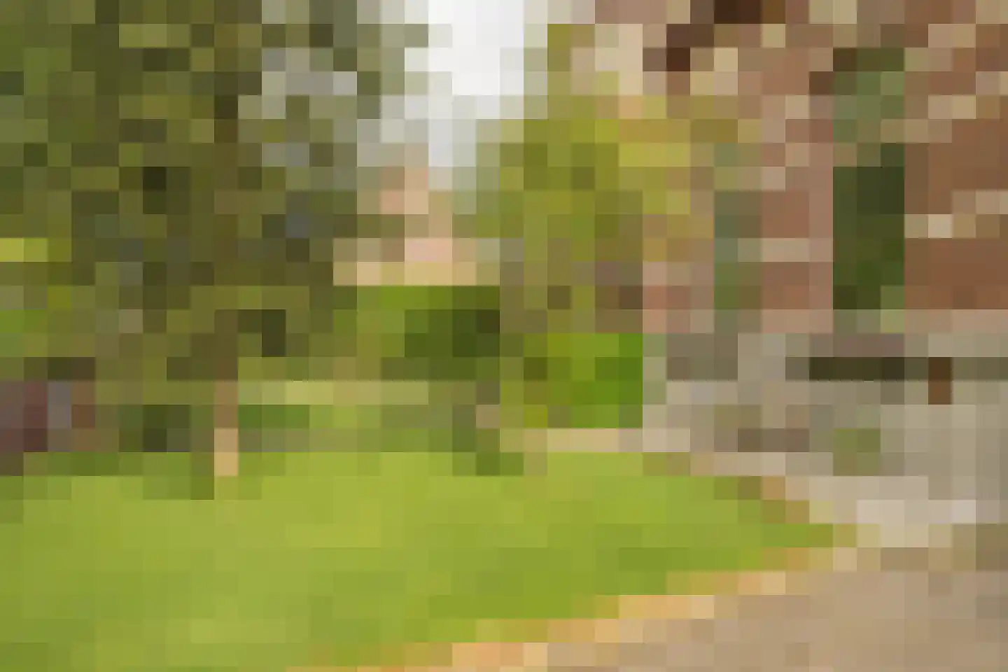Nassaulaan 9 Steenbergen thumbnail 49