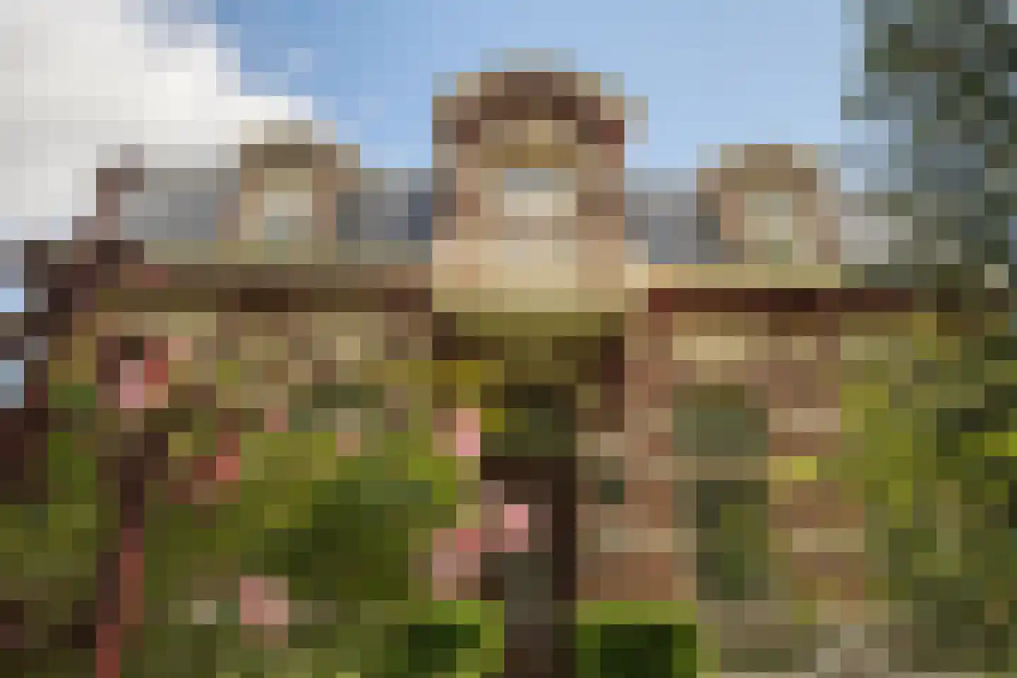 Nassaulaan 9 Steenbergen thumbnail 5