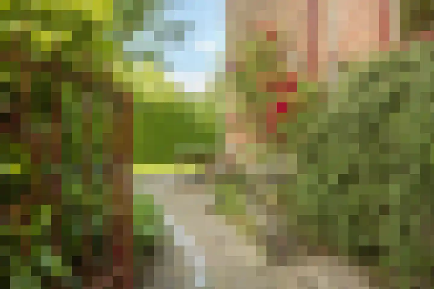 Nassaulaan 9 Steenbergen thumbnail 51