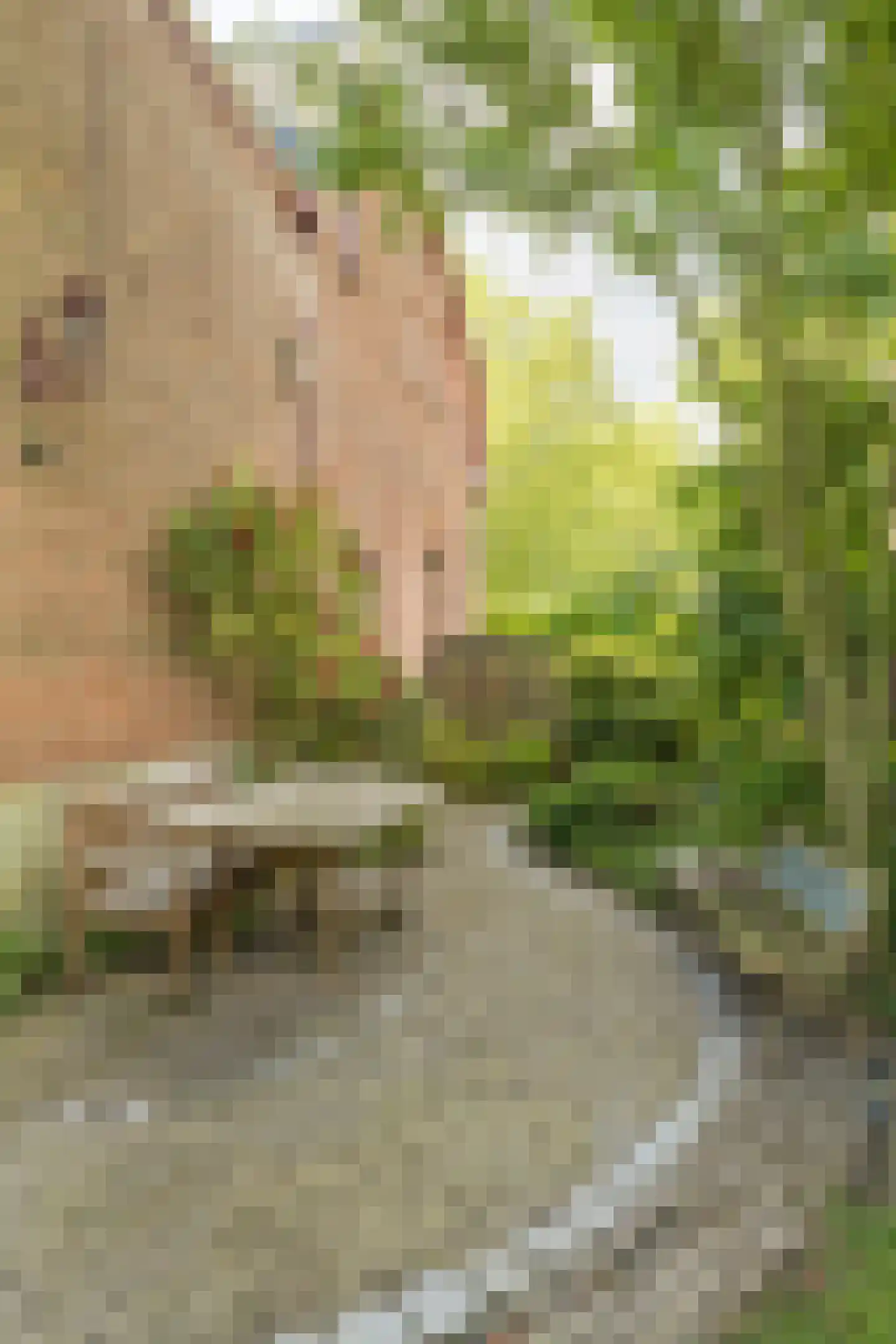 Nassaulaan 9 Steenbergen thumbnail 52