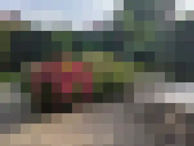 Nassaulaan 9 Steenbergen thumbnail 53
