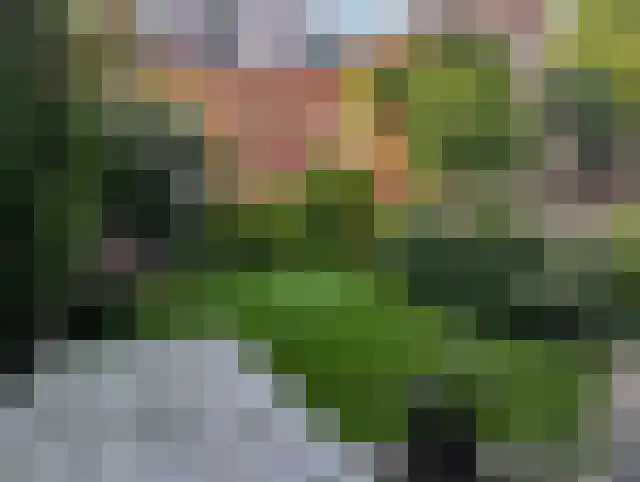 Nassaulaan 9 Steenbergen thumbnail 54