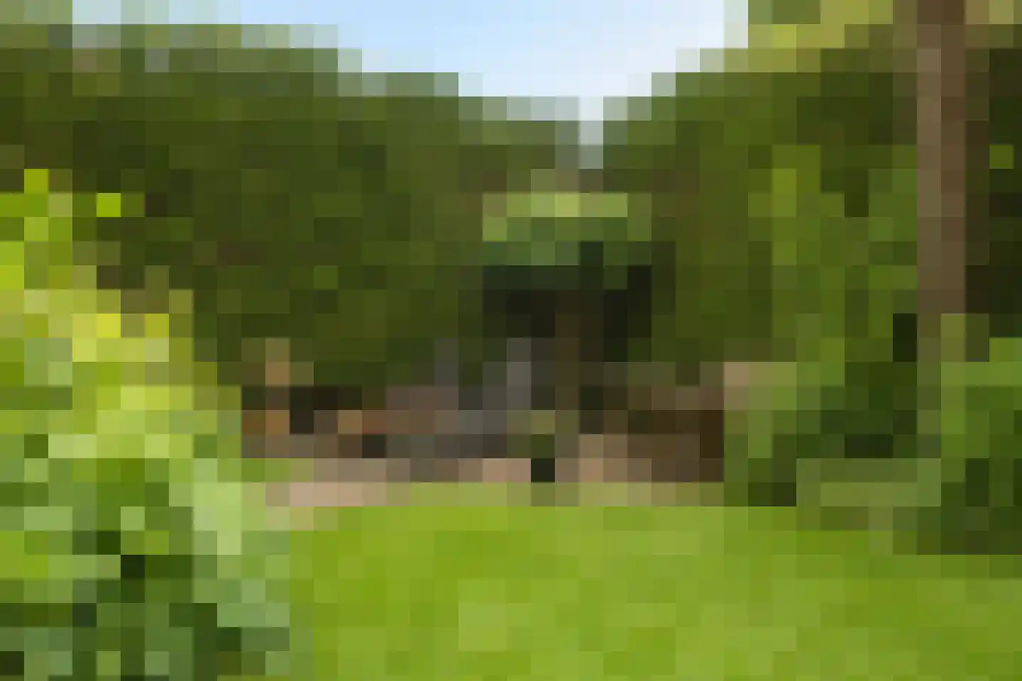 Nassaulaan 9 Steenbergen thumbnail 57