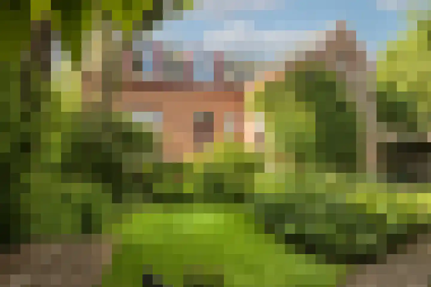 Nassaulaan 9 Steenbergen thumbnail 58