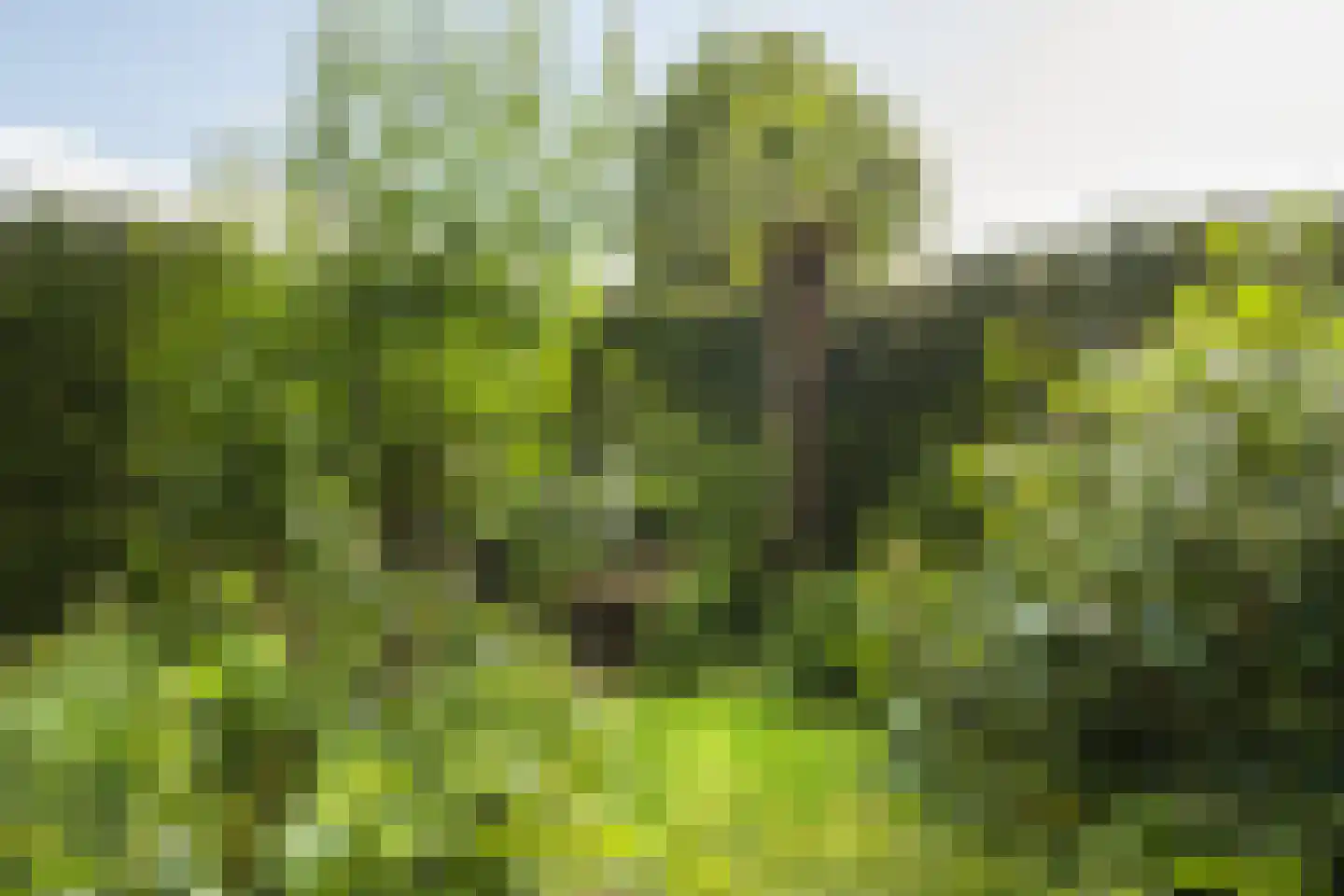 Nassaulaan 9 Steenbergen thumbnail 59