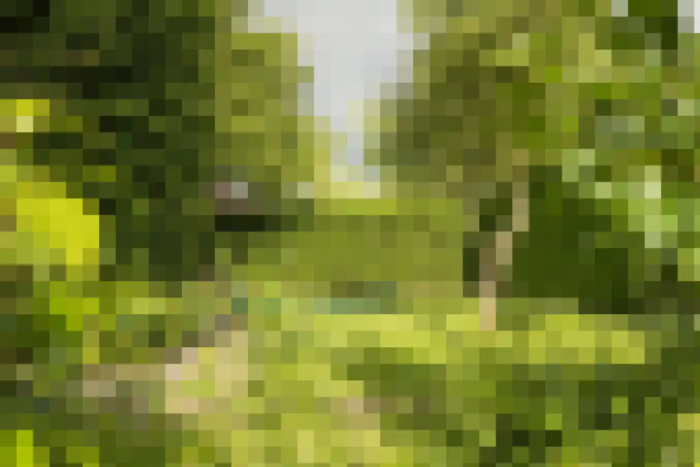 Nassaulaan 9 Steenbergen thumbnail 60