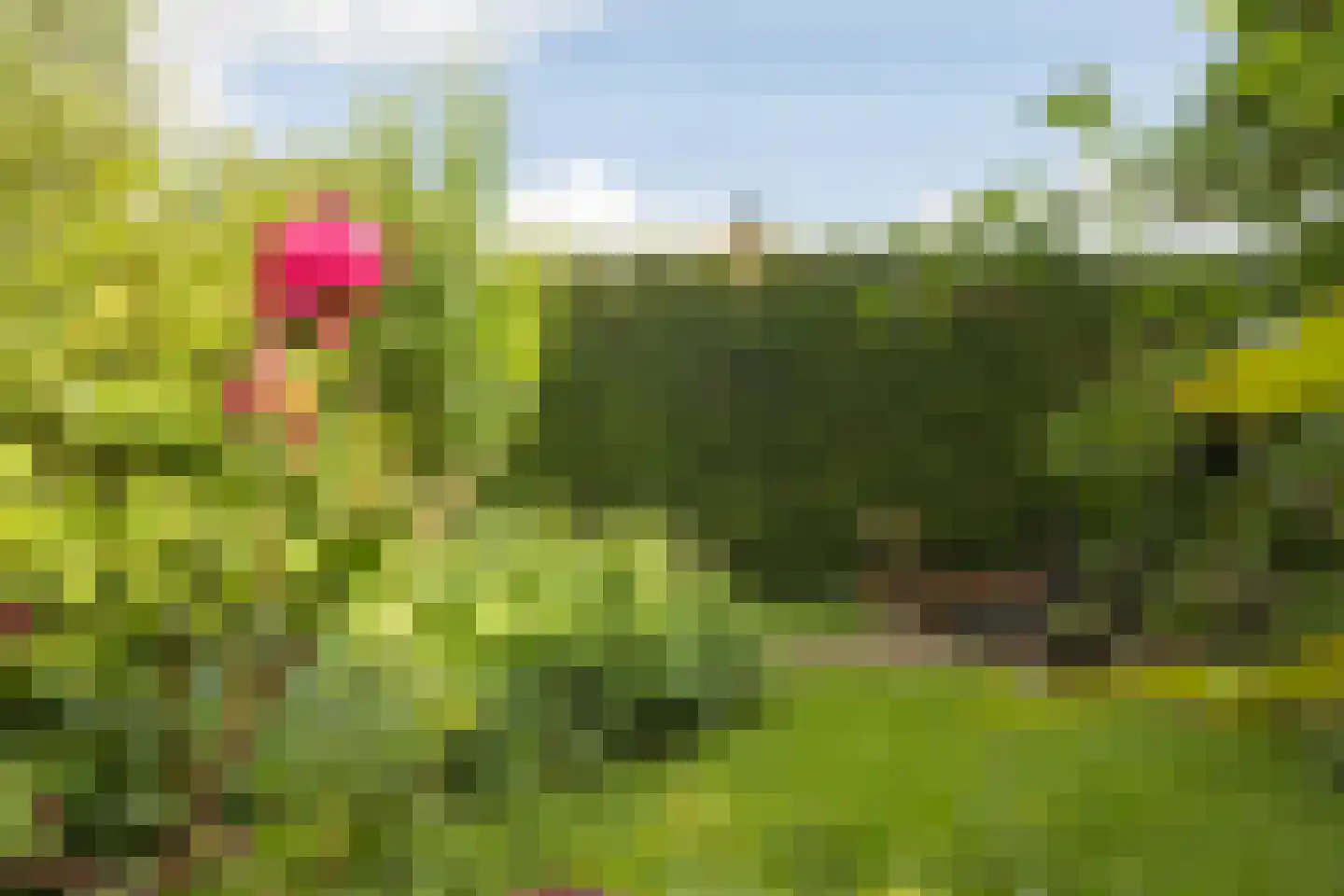 Nassaulaan 9 Steenbergen thumbnail 61