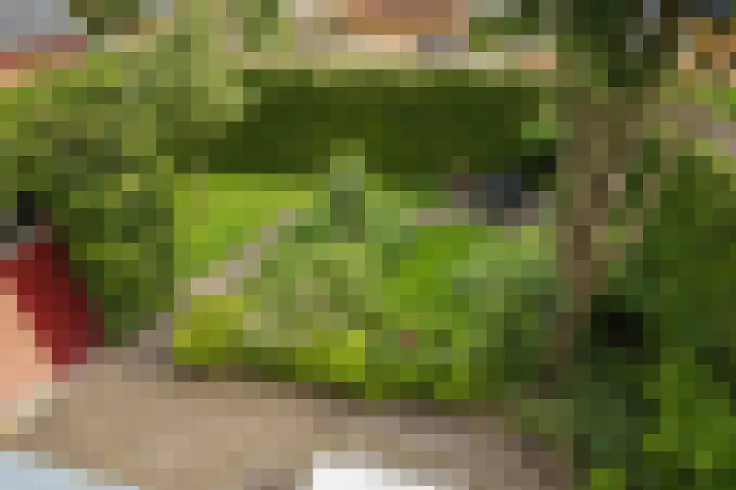 Nassaulaan 9 Steenbergen thumbnail 62
