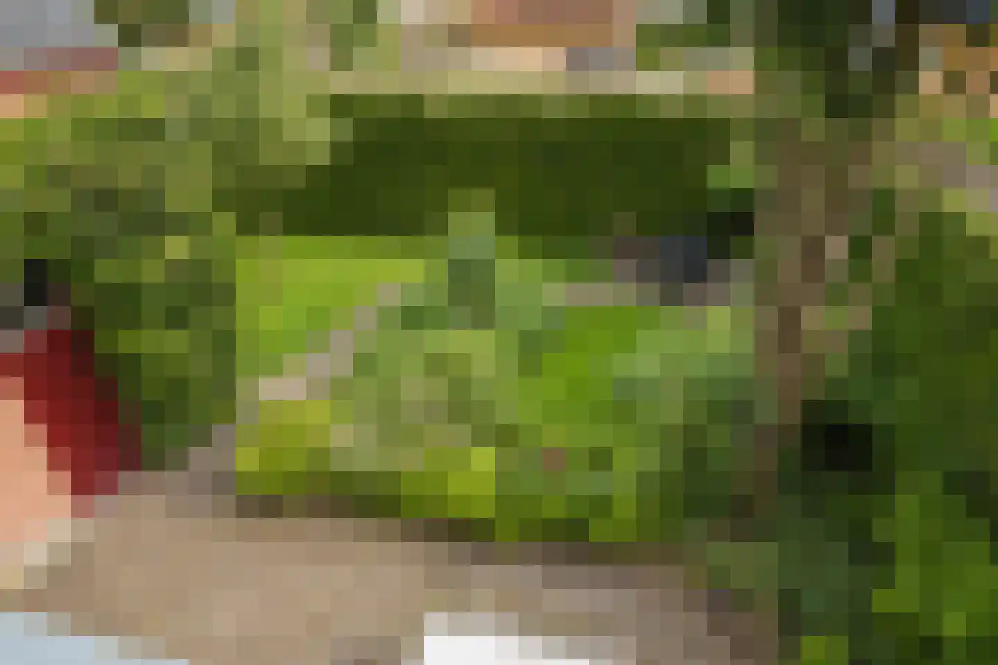 Nassaulaan 9 Steenbergen thumbnail 62