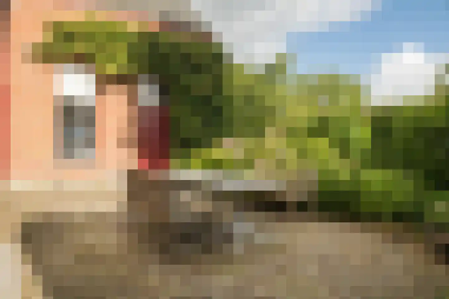 Nassaulaan 9 Steenbergen thumbnail 63