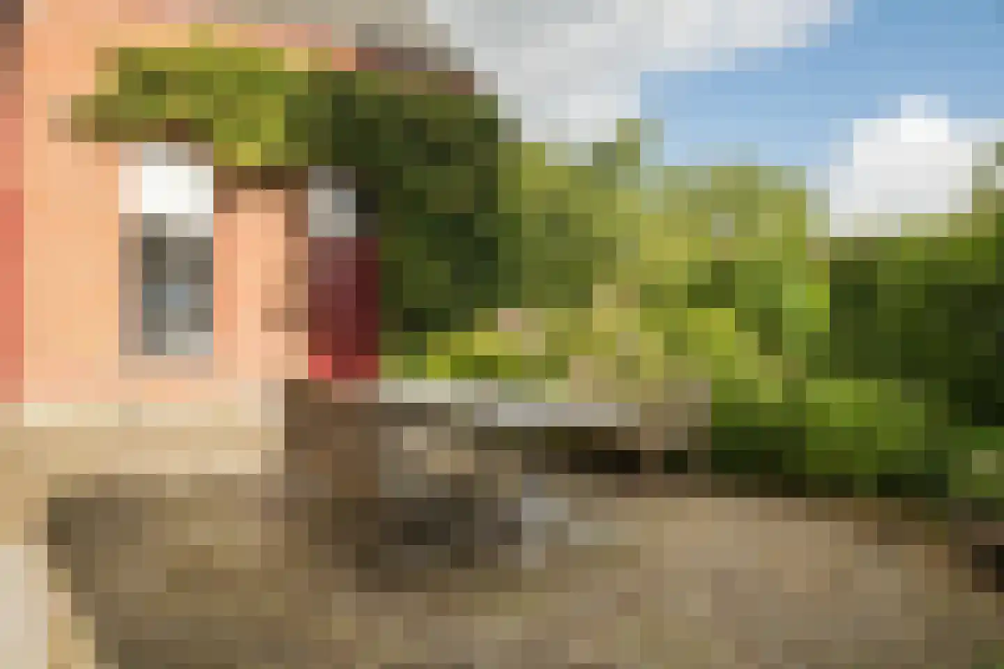 Nassaulaan 9 Steenbergen thumbnail 63