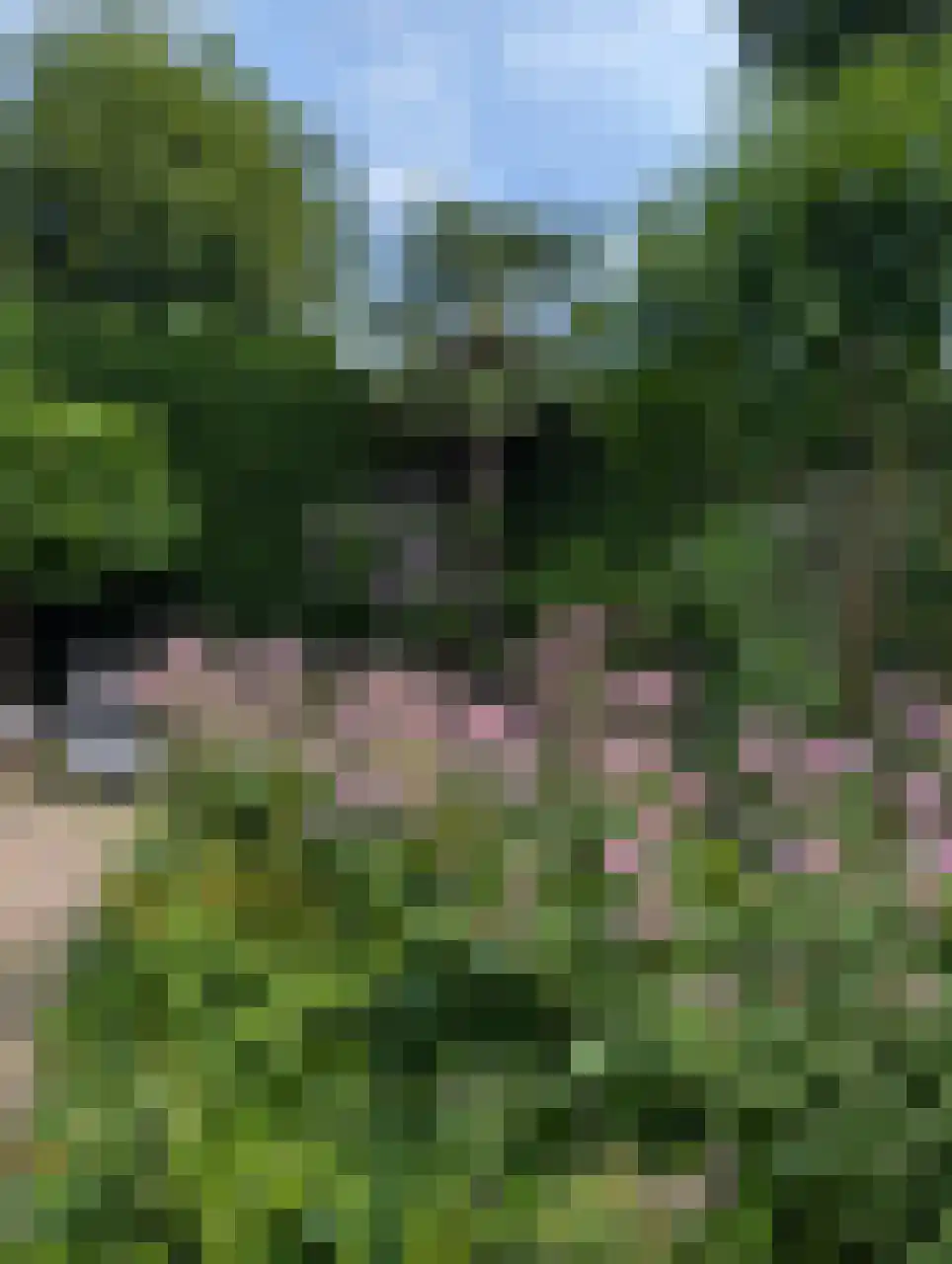 Nassaulaan 9 Steenbergen thumbnail 65