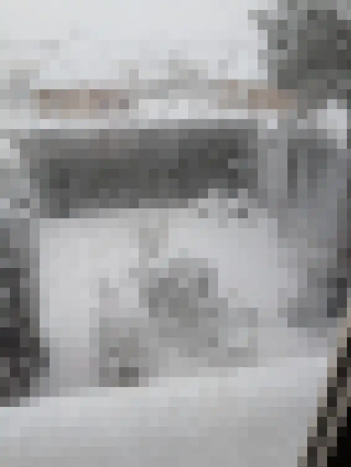 Nassaulaan 9 Steenbergen thumbnail 68