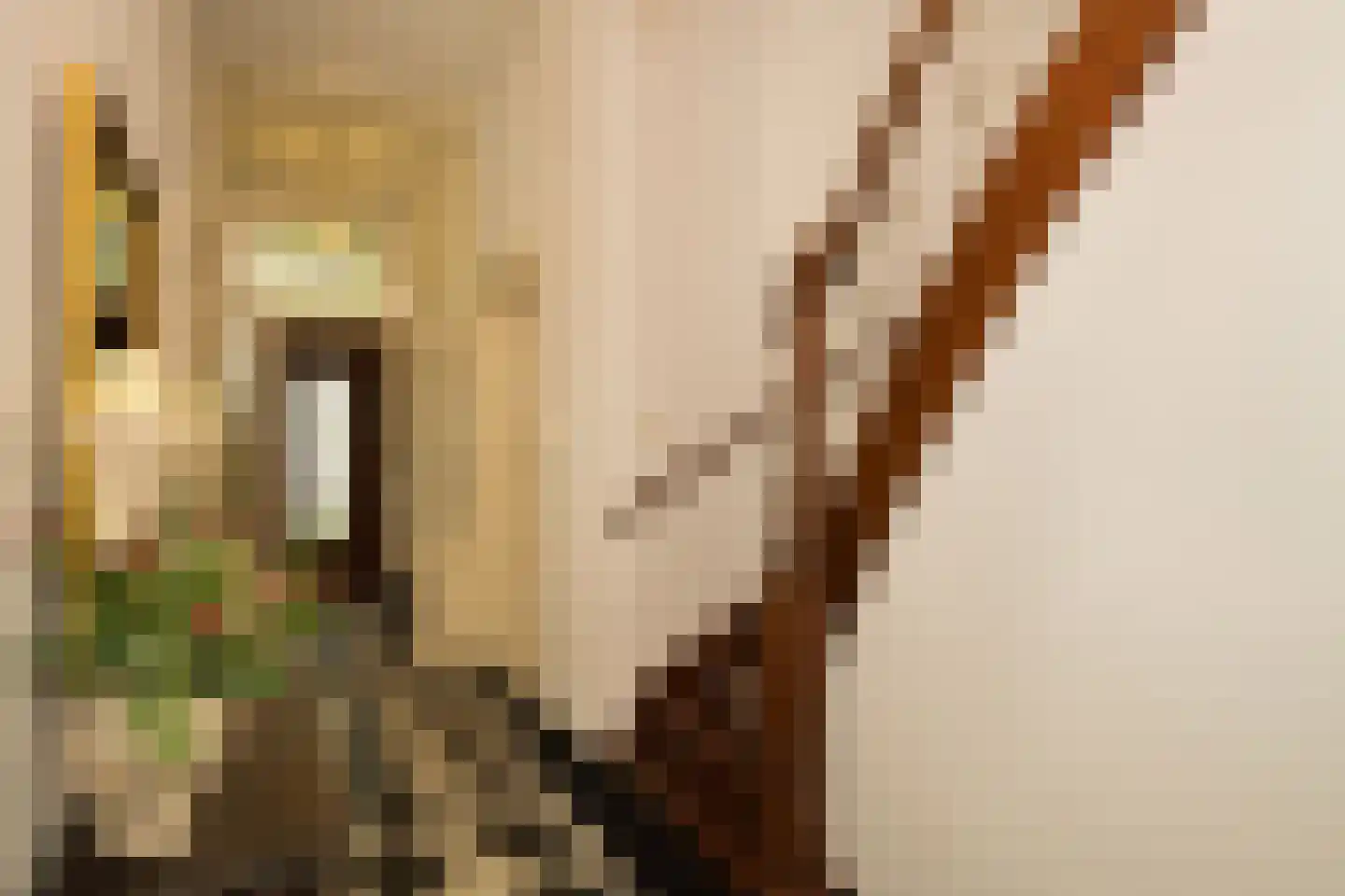 Nassaulaan 9 Steenbergen thumbnail 7