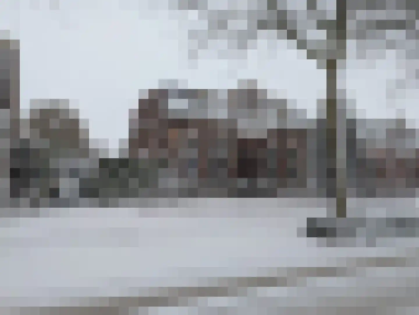 Nassaulaan 9 Steenbergen thumbnail 70