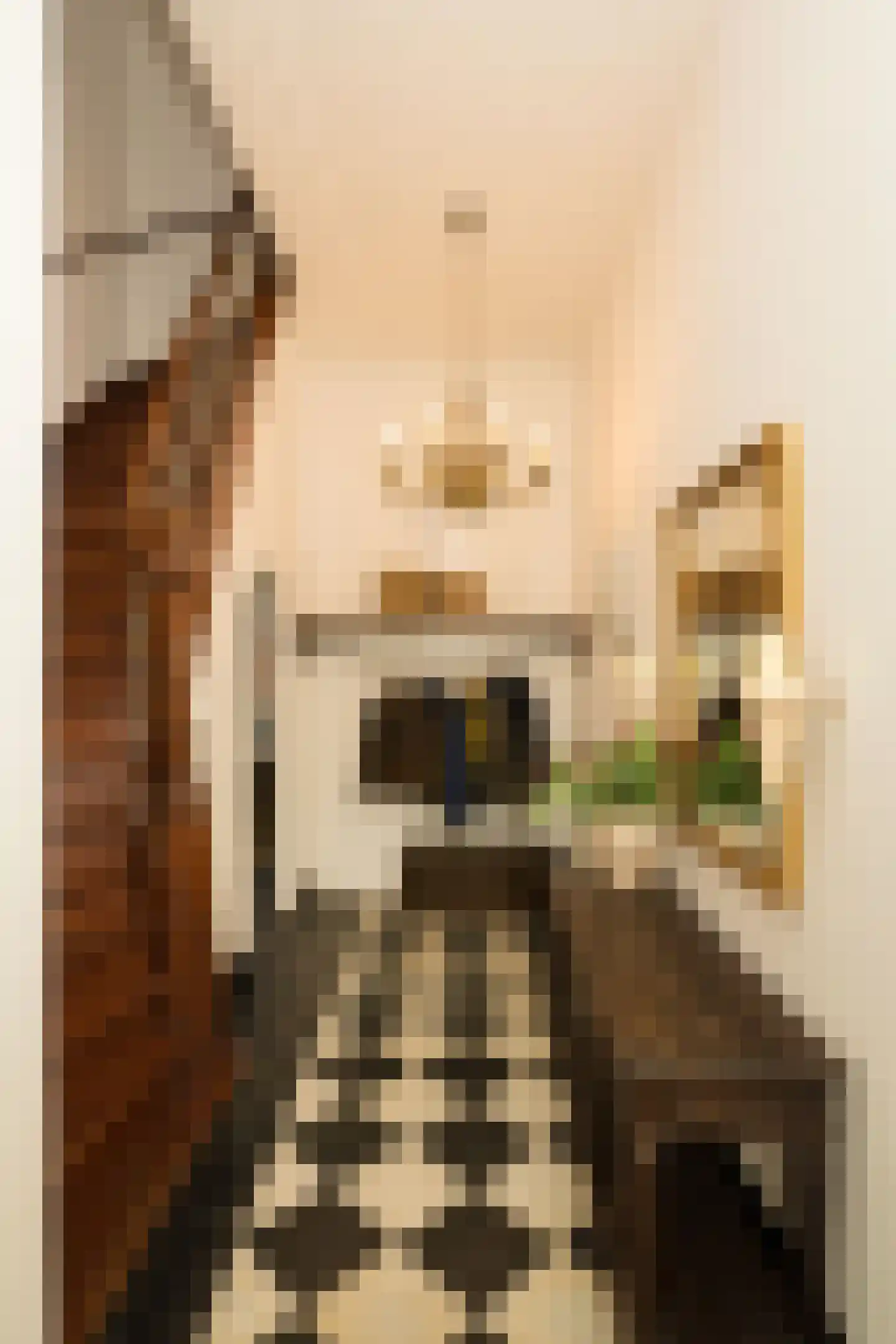 Nassaulaan 9 Steenbergen thumbnail 8