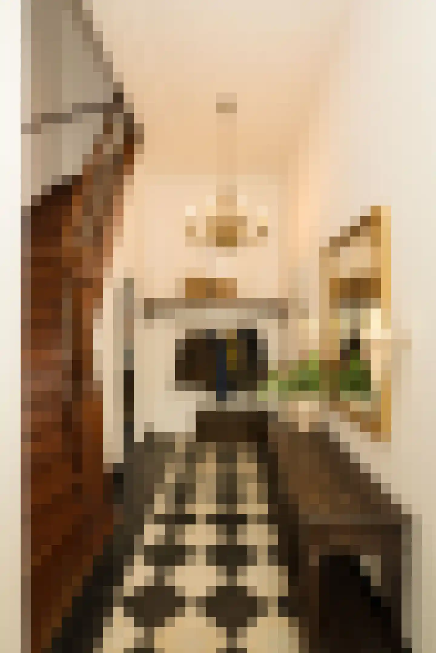 Nassaulaan 9 Steenbergen thumbnail 8