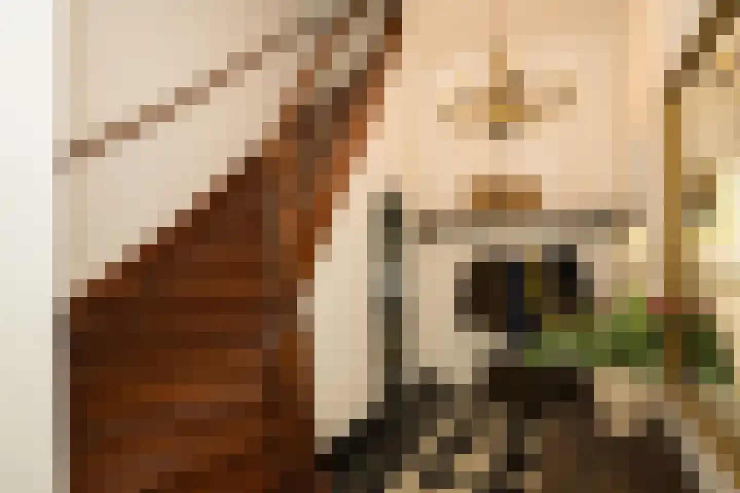 Nassaulaan 9 Steenbergen thumbnail 9