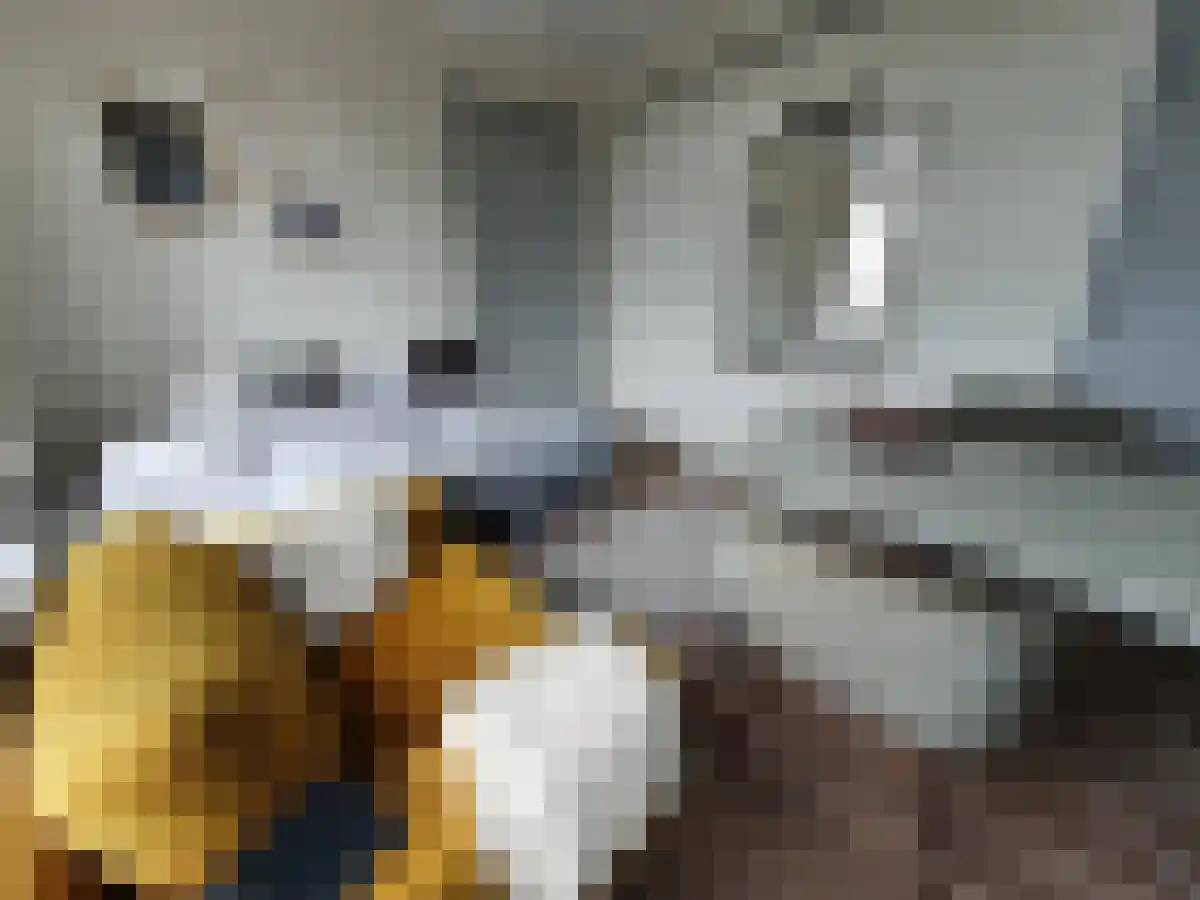 Nassaulaan Groningen thumbnail 4