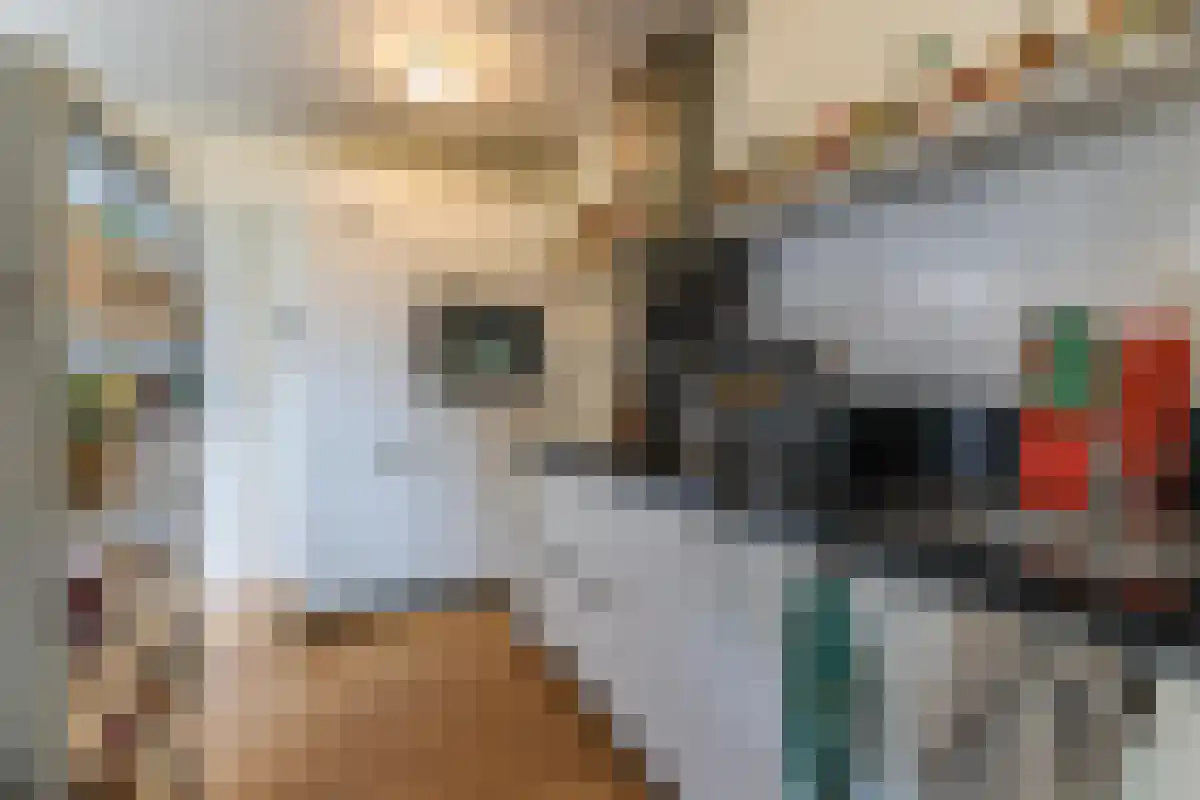 Nassaulaan Groningen thumbnail 5
