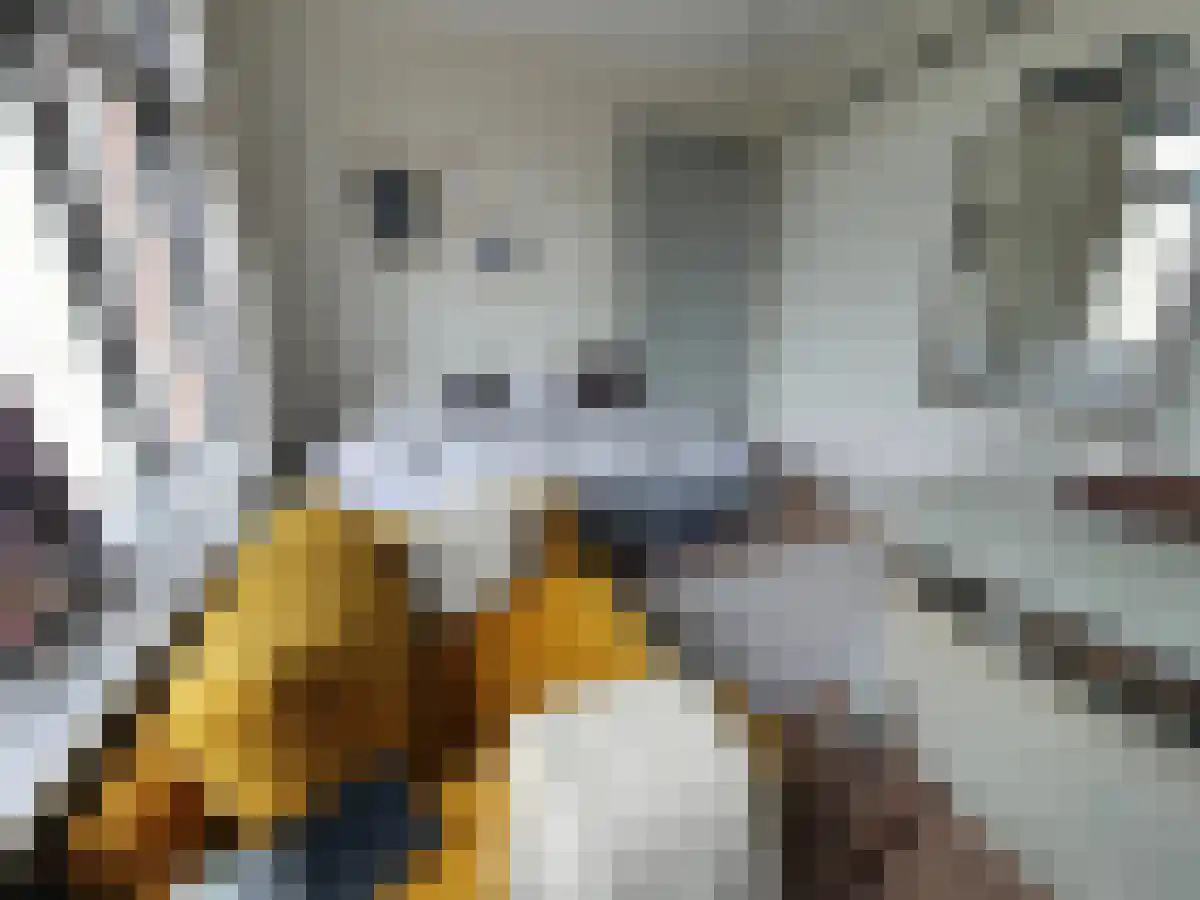 Nassaulaan Groningen thumbnail 5