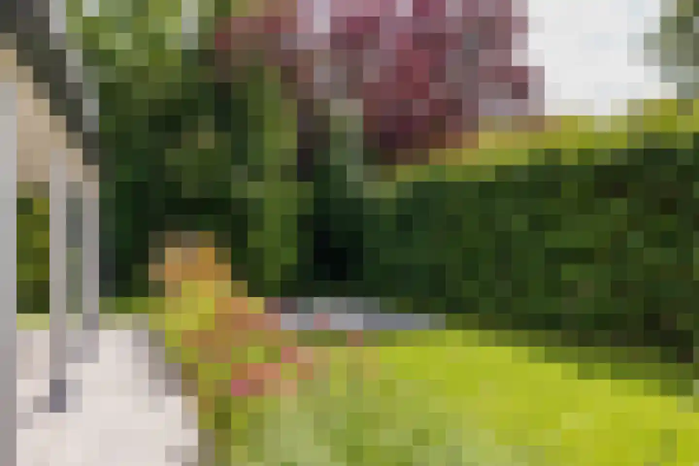 Nassaupark 1 Warmond thumbnail 23