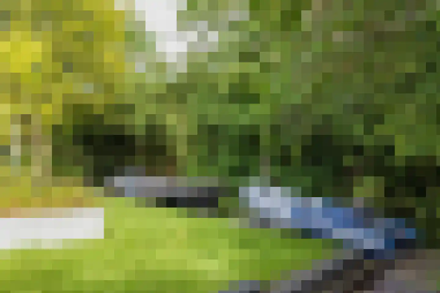 Nassaupark 1 Warmond thumbnail 30