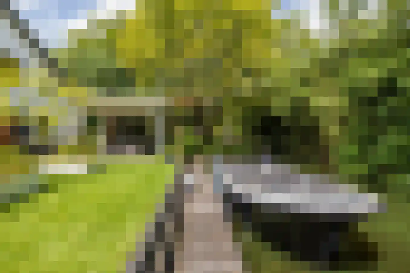 Nassaupark 1 Warmond thumbnail 33