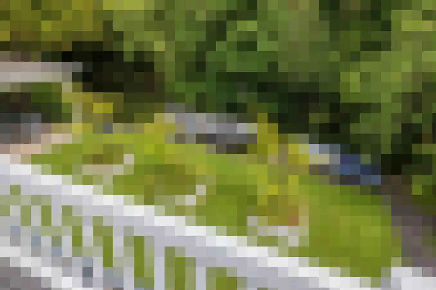 Nassaupark 1 Warmond thumbnail 42