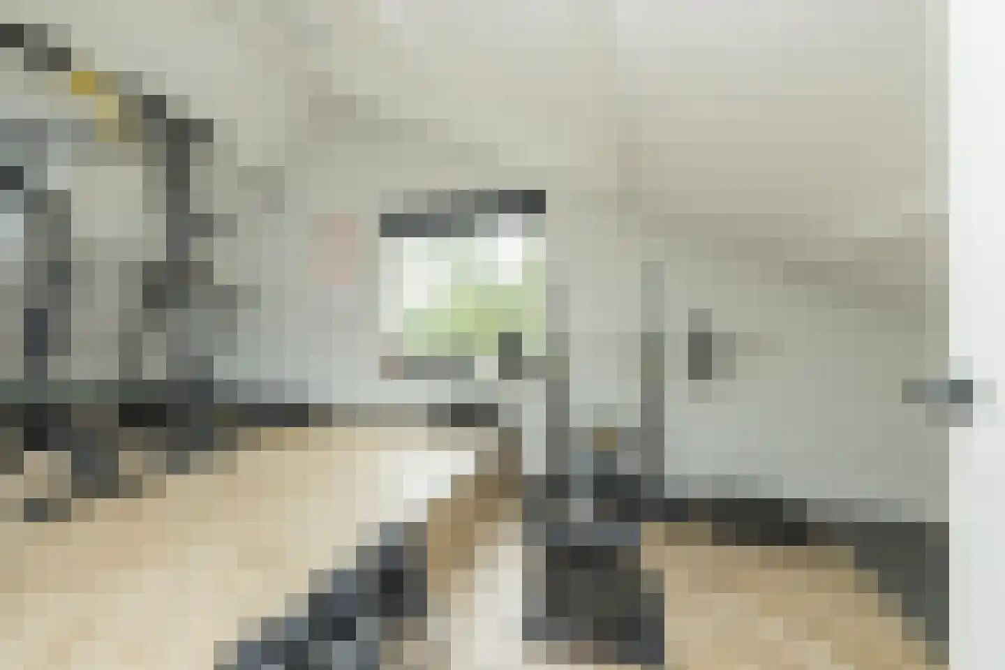 Nassaupark 1 Warmond thumbnail 54