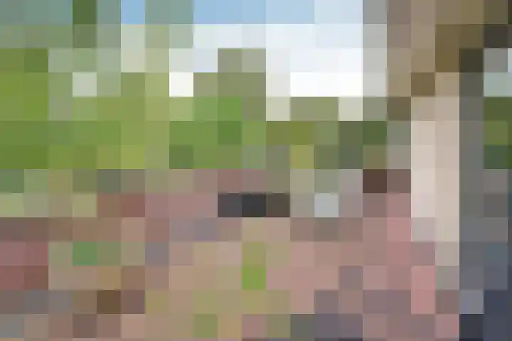 Nassaupark 13 B Bussum thumbnail 12