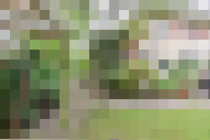Nassaupark 13 B Bussum thumbnail 20