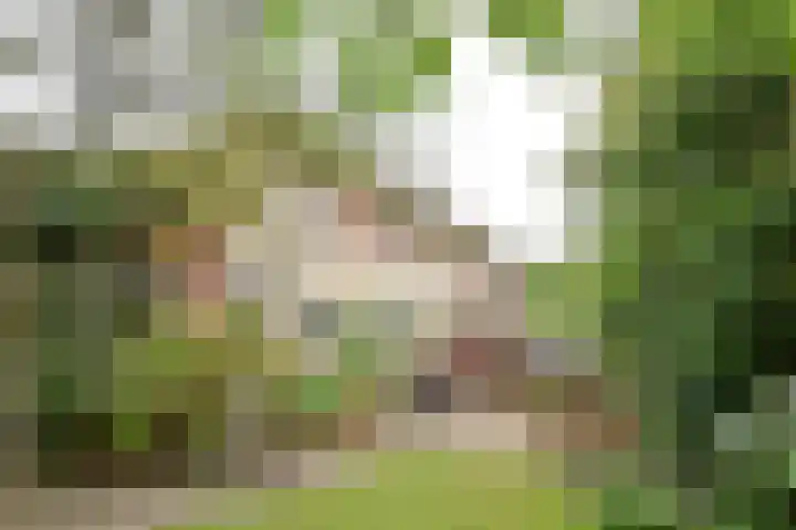 Nassaupark 13 B Bussum thumbnail 21