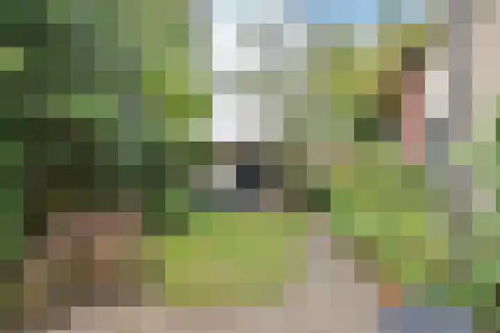 Nassaupark 13 B Bussum thumbnail 22