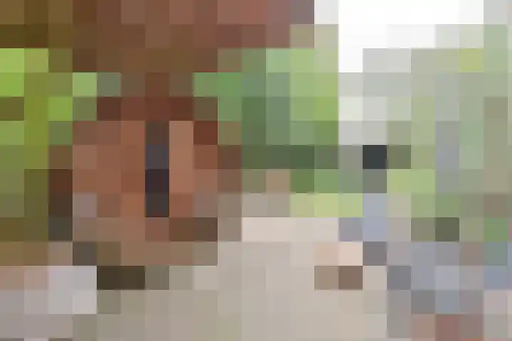 Nassaupark 13 B Bussum thumbnail 23