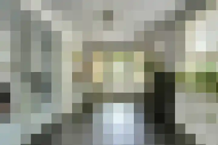 Nassaupark 21 Bovenkarspel thumbnail 18