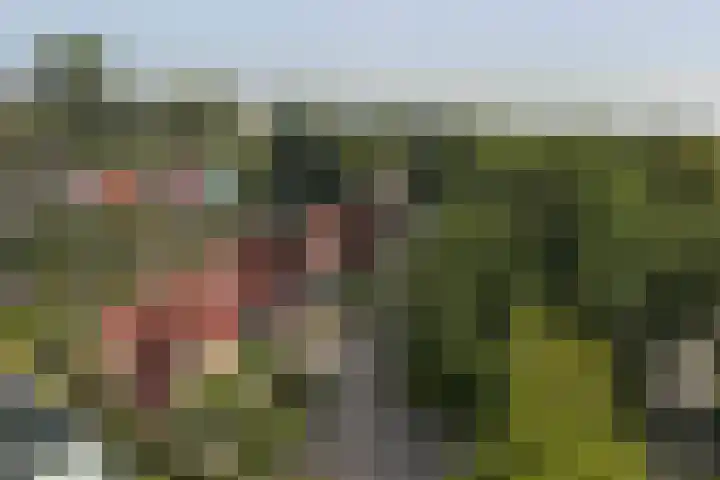 Nassaupark 21 Bovenkarspel thumbnail 49