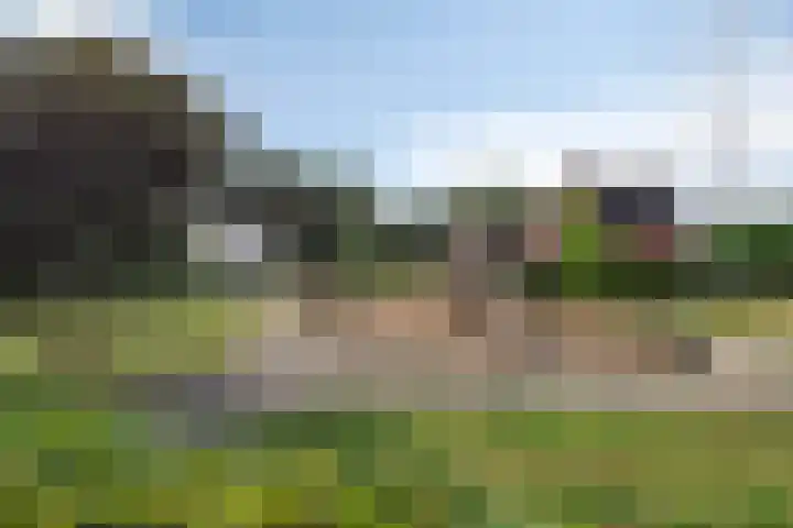 Nassaupark 29 Baarle-Nassau thumbnail 42