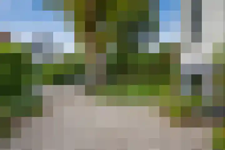 Nassaupark 4 Bussum thumbnail 30