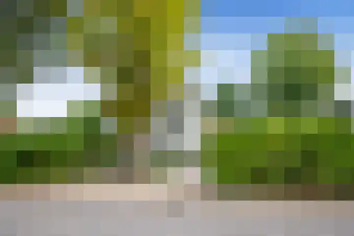 Nassaupark 4 Bussum thumbnail 33
