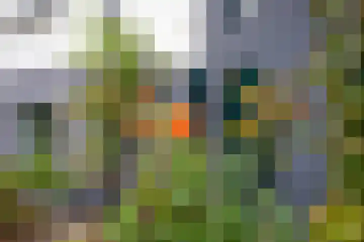 Nassaupark 4 Bussum thumbnail 36