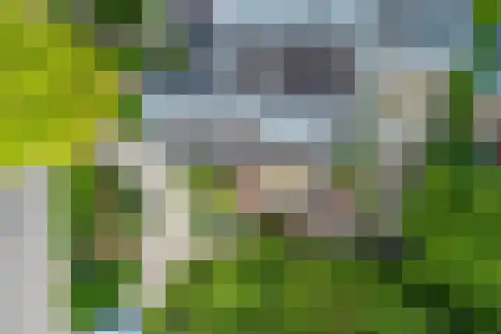 Nassaupark 4 Bussum thumbnail 37