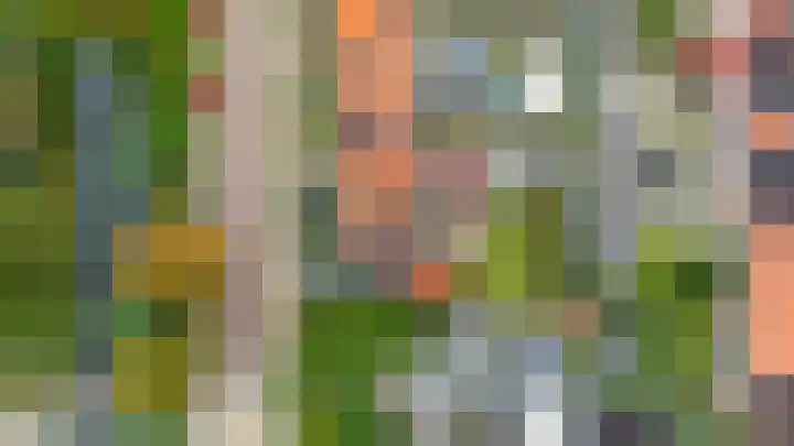 Nassaupark 79 Lisse thumbnail 25