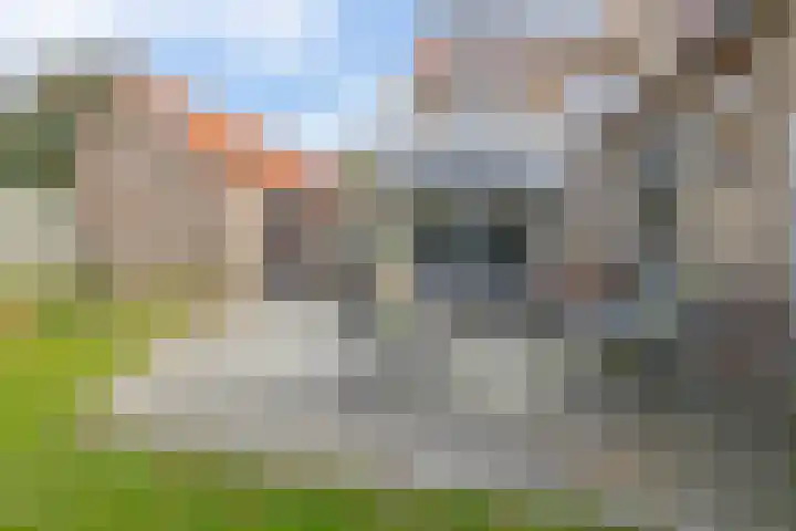 Nassaupark 79 Lisse thumbnail 26