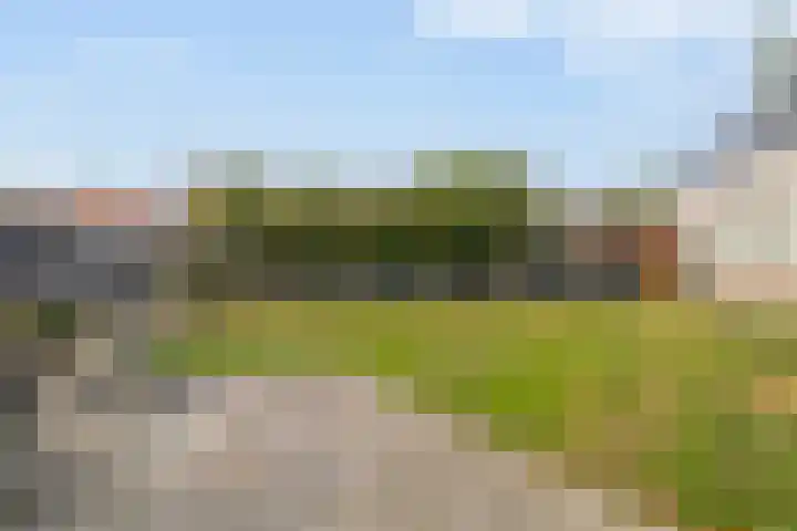 Nassaupark 79 Lisse thumbnail 28