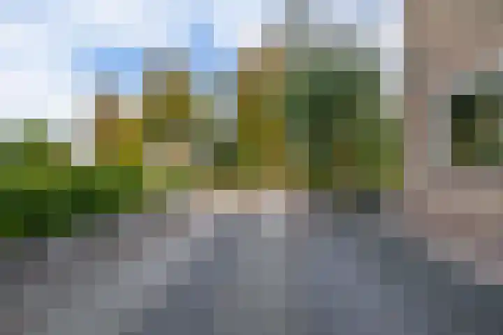 Nassaupark 79 Lisse thumbnail 29