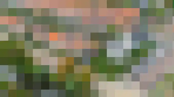Nassaupark 79 Lisse thumbnail 33