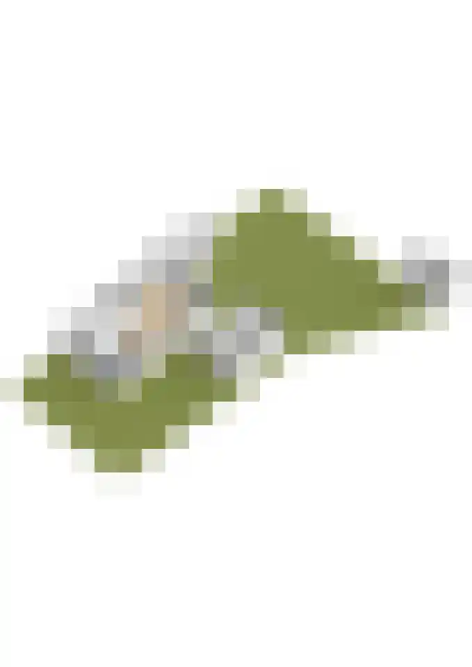 Nassaupark 79 Lisse thumbnail 44